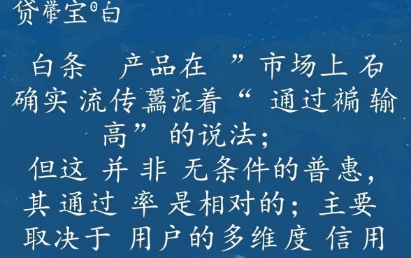 借贷宝白条通过率高吗,真的容易下款吗? 借贷宝白条通过率高吗