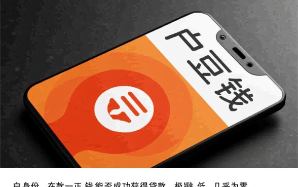 黑户在豆豆钱能贷款吗