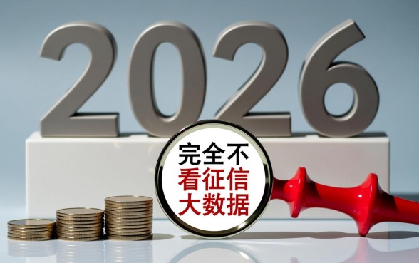2026不看征信大数据借款哪里有