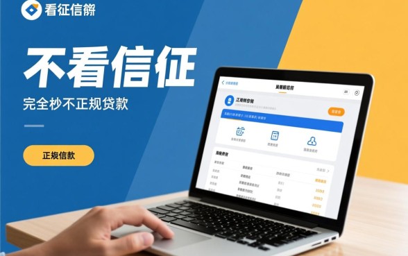 哪些贷款不看征信秒批