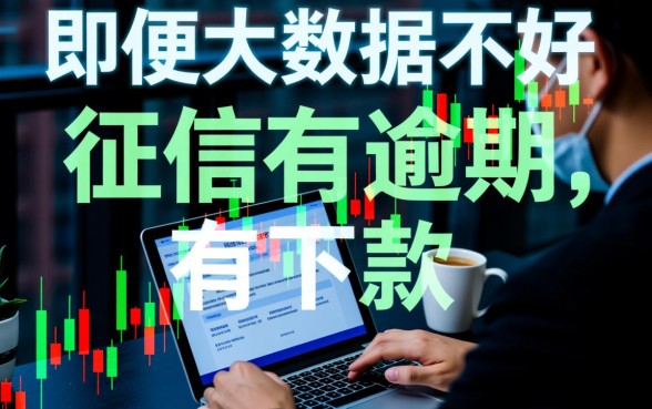 大数据不好征信有逾期能下款吗