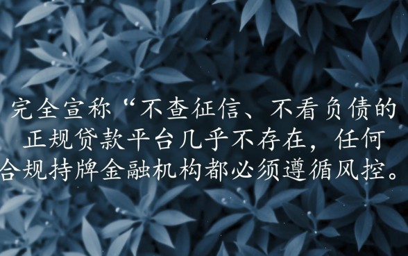 不查征信不看负债的贷款有哪些平台