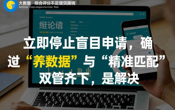 大数据花了综合评分不足怎么借网贷
