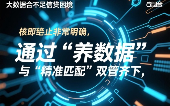 大数据花了综合评分不足怎么借网贷