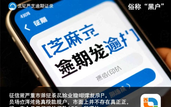 黑户不用芝麻分的贷款app哪个好