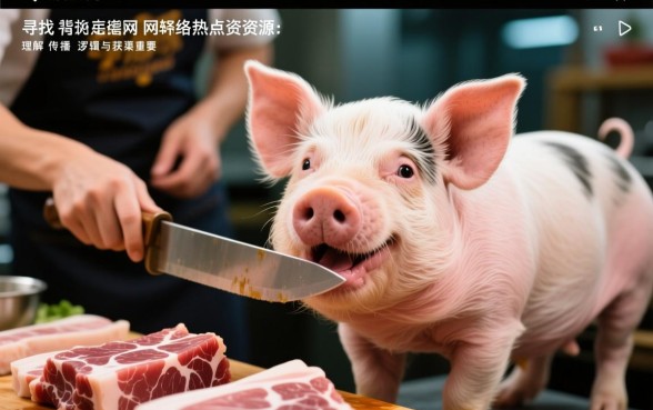 买猪肉割口子搞笑视频怎么下载