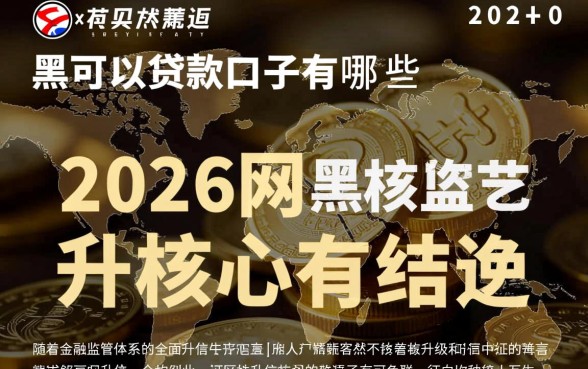 2026网黑可以贷款的口子有哪些