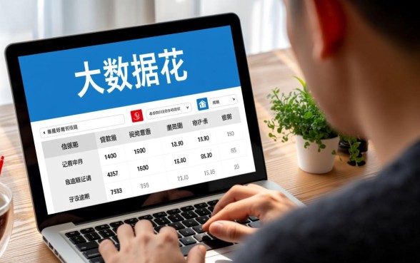 大数据花无逾期能下款吗