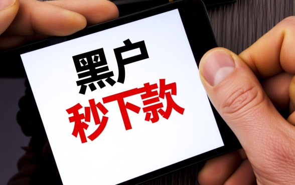 2026黑户秒下的30天口子有吗