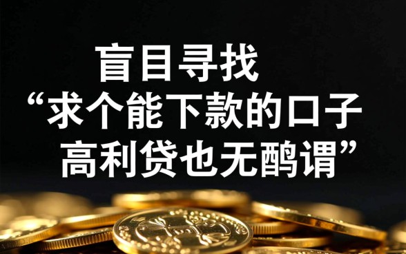 急需用钱求个能下款的口子