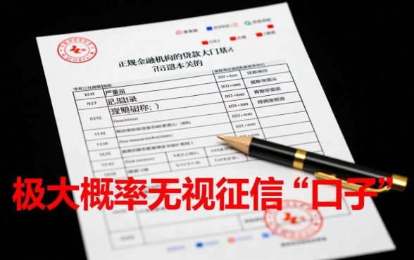 有没有不看征信的口子