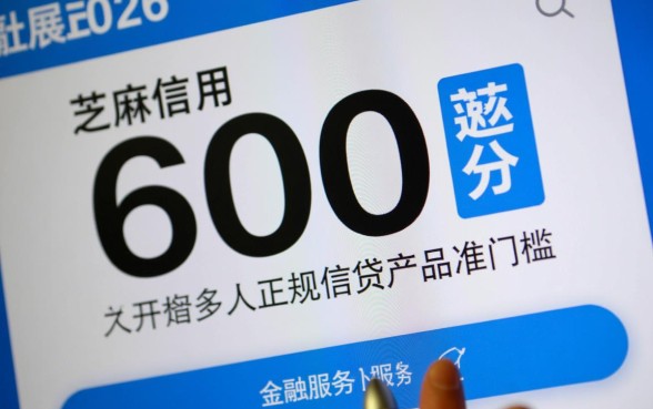 芝麻分600就保下的口子2026