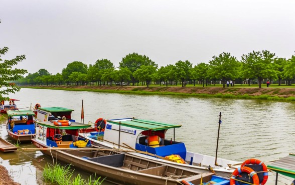 714高炮必下的口子有哪些