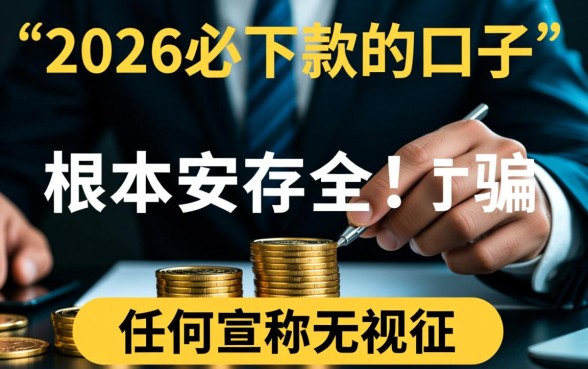 2026必下款的口子真的安全吗