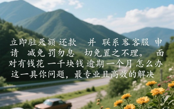 有钱花一千块钱逾期一个月怎么办