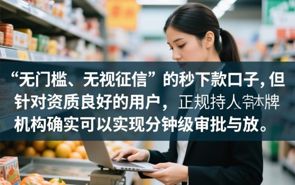 有没有真的可以秒下款一千的口子