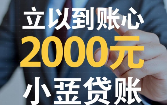 2000元的小贷可以立即到账吗