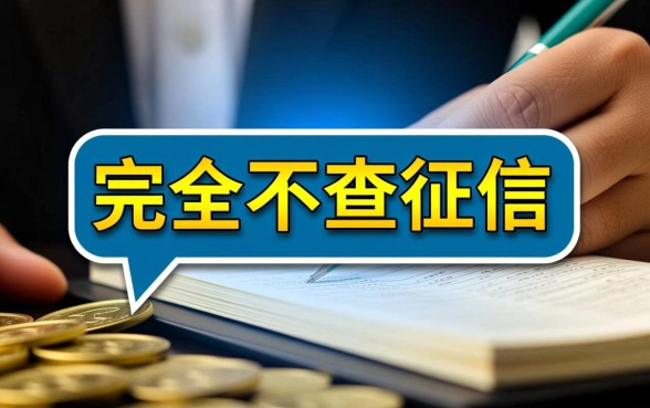 如何申请不查征信就能贷款的借款