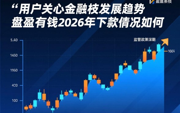 盈盈有钱2026年下款情况如何
