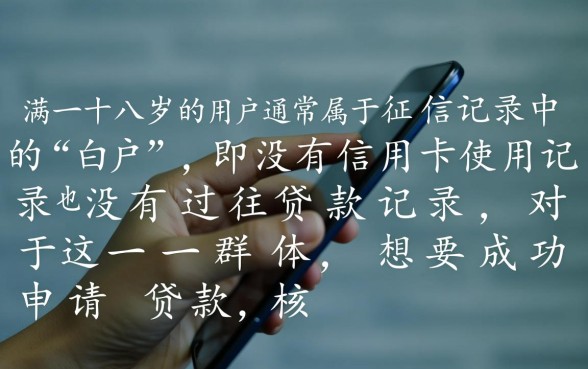 满十八岁小额贷款容易下款吗