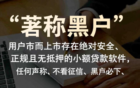 黑户哪个软件小额贷款口子好通过