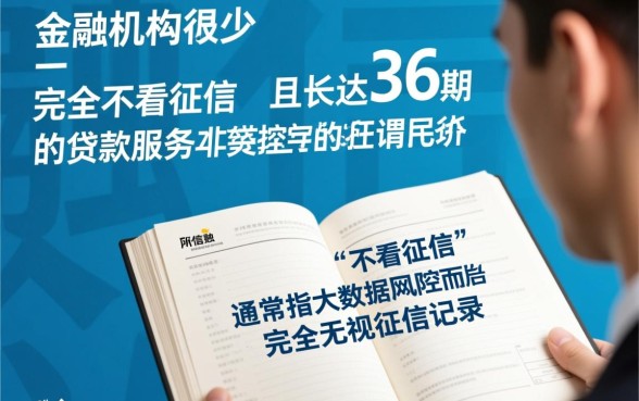 什么贷款软件不看征信36期还款