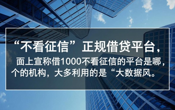 借1000不看征信的平台是哪个