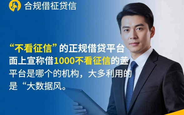 借1000不看征信的平台是哪个