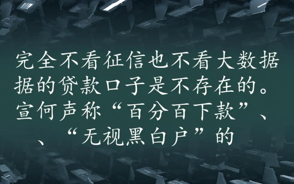 有没有不看征信不看大数据的口子