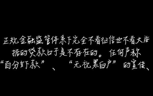 有没有不看征信不看大数据的口子