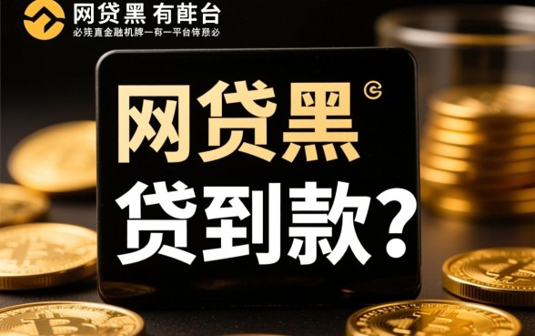 网贷黑户可以贷到款的平台有哪些