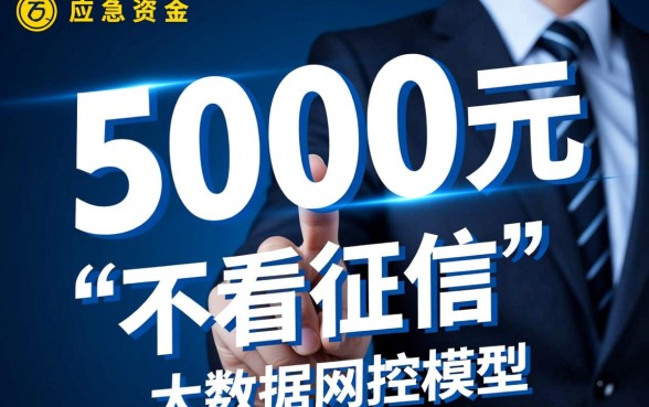 借款5000不看征信负债秒到账吗