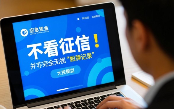 借款5000不看征信负债秒到账吗