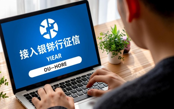 网贷口子哪些不上征信的可以借款