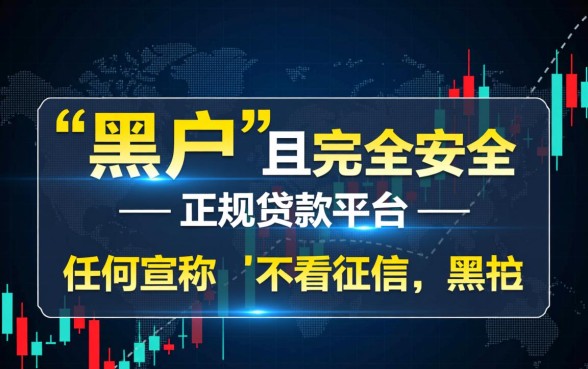 黑户网上最安全的贷款平台是哪个