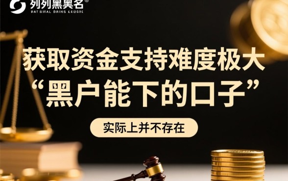 黑户能下的回收口子有哪些,2026黑户贷款哪里有 黑户能下的回收口子有哪些
