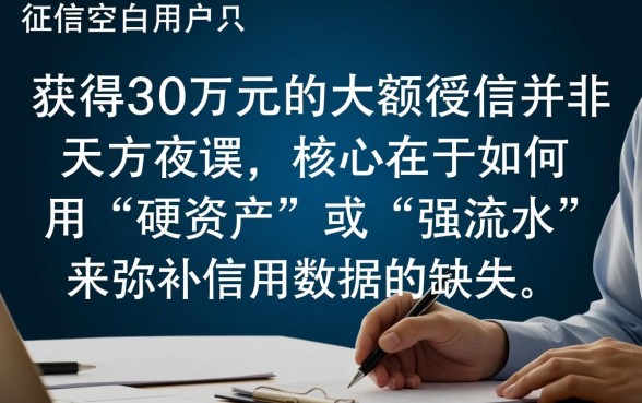 30万白户也可以下款的大额口子