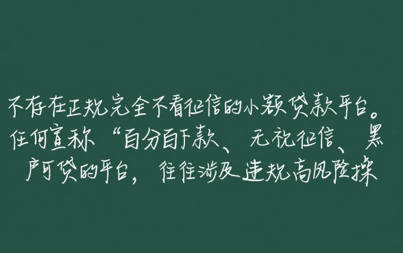 小额贷款平台哪个好下款不看征信