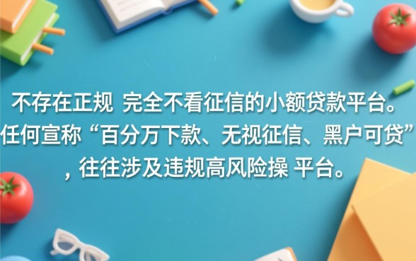 小额贷款平台哪个好下款不看征信