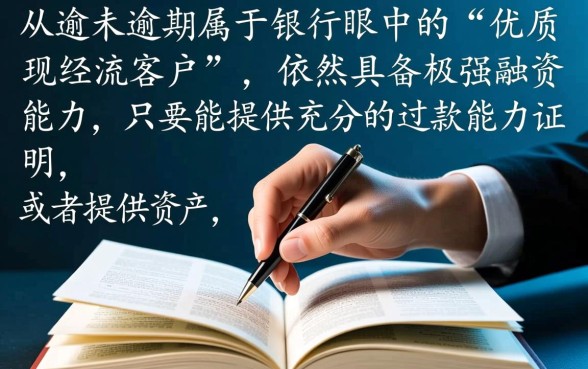 负债高没有逾期可以申请什么贷款