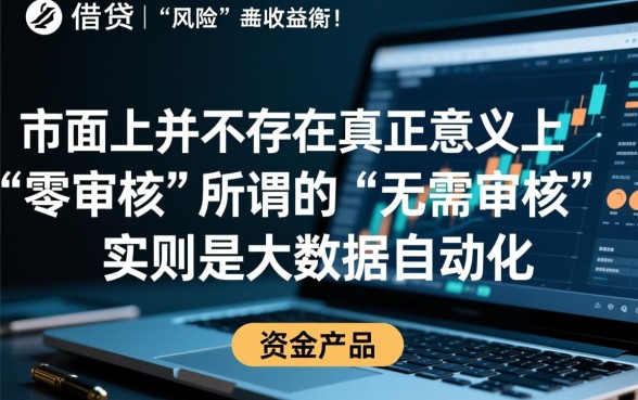 无需审核秒到账贷款软件有哪些