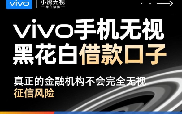 vivo手机无视黑花白借款口子有哪些
