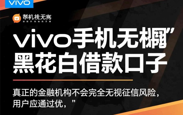 vivo手机无视黑花白借款口子有哪些