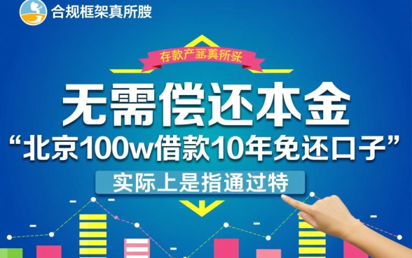 北京100w借款10年免还口子