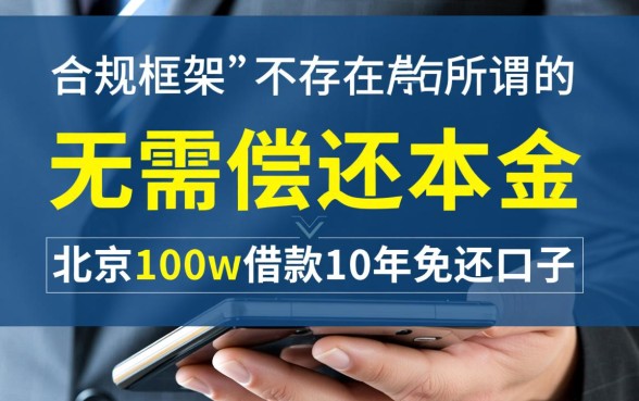 北京100w借款10年免还口子