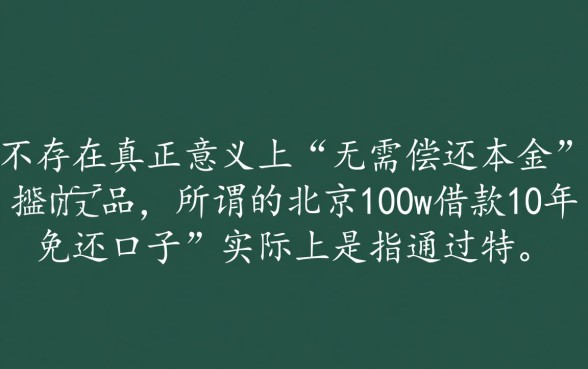 北京100w借款10年免还口子