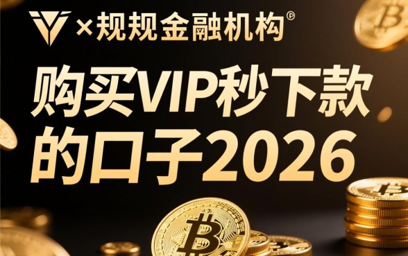 购买vip秒下款的口子2026有哪些