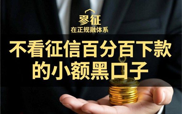 不看征信百分百下款的小额黑口子