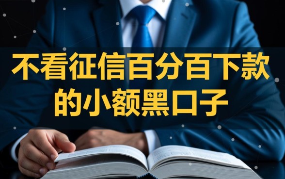 不看征信百分百下款的小额黑口子