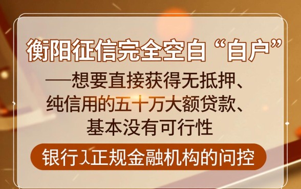 衡阳有没有白户下款五十万的口子